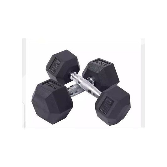 25.000F  Paire Haltères 10 kg x 2